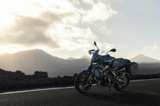 Pantalla de altura media