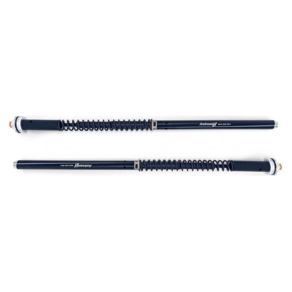Cartucho de ajuste hidráulico Andreani Evolution para Aprilia RS 660 (2020) 